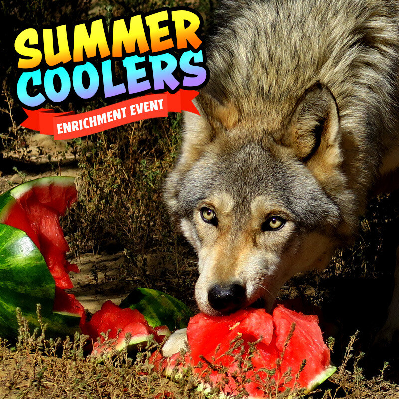 Seasonal Enrichment Events