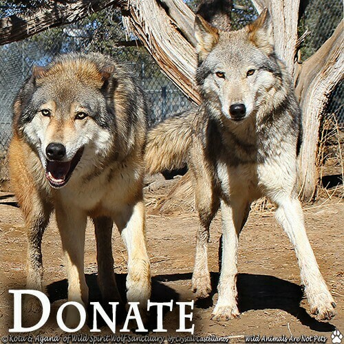 General Donation