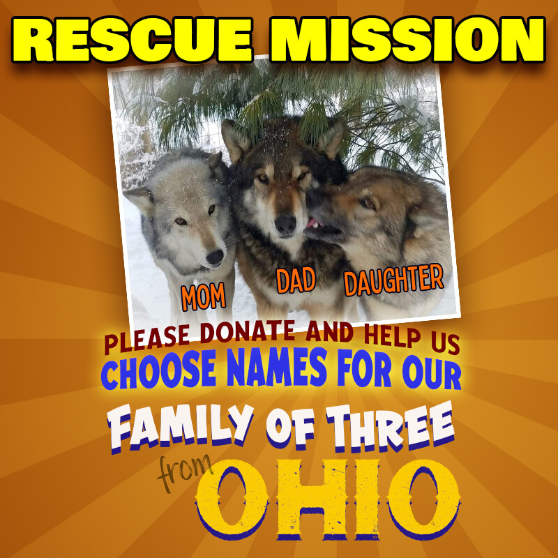 Ohio Trio Rescue Donation Ohio Trio Rescue Donation
