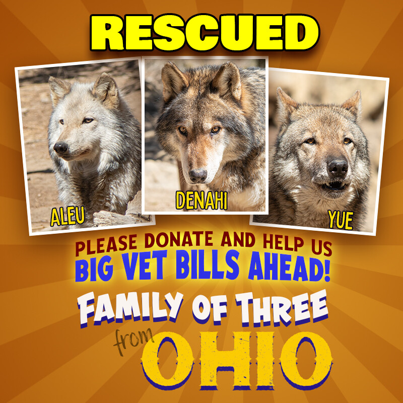 Ohio Trio Rescue Donation Ohio Trio Rescue Donation