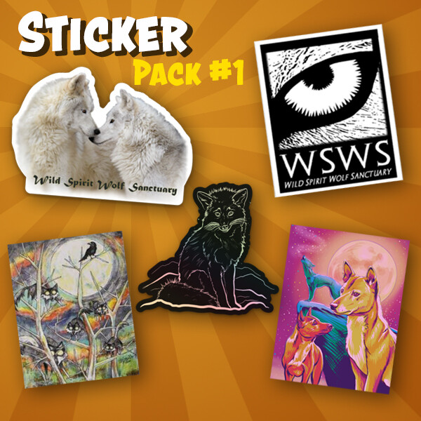 WSWS Sticker Pack 1 WSWS Sticker Pack 1