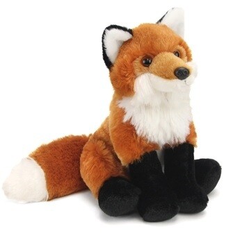 Red Fox