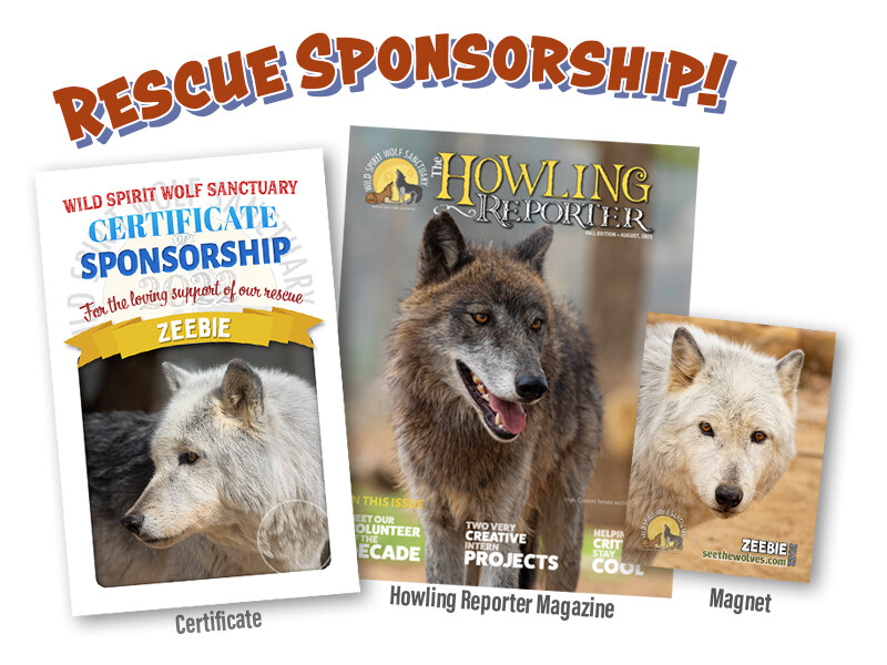 Rescue Sponsorship