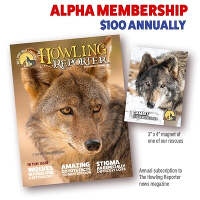 Alpha Membership