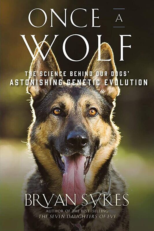 Once A Wolf