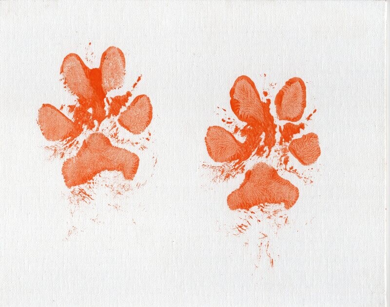 Paw & Nose Print Canvas Painting