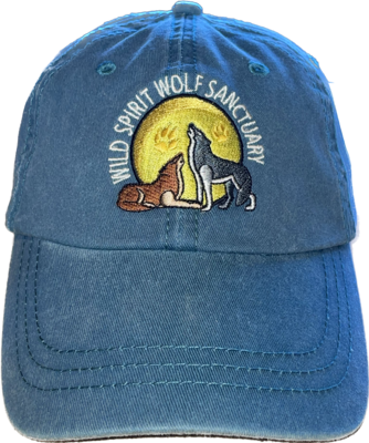 WSWS Logo Cap