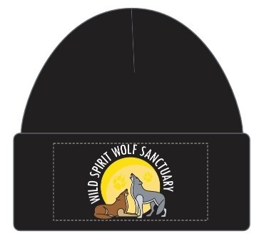 WSWS Logo Beanie