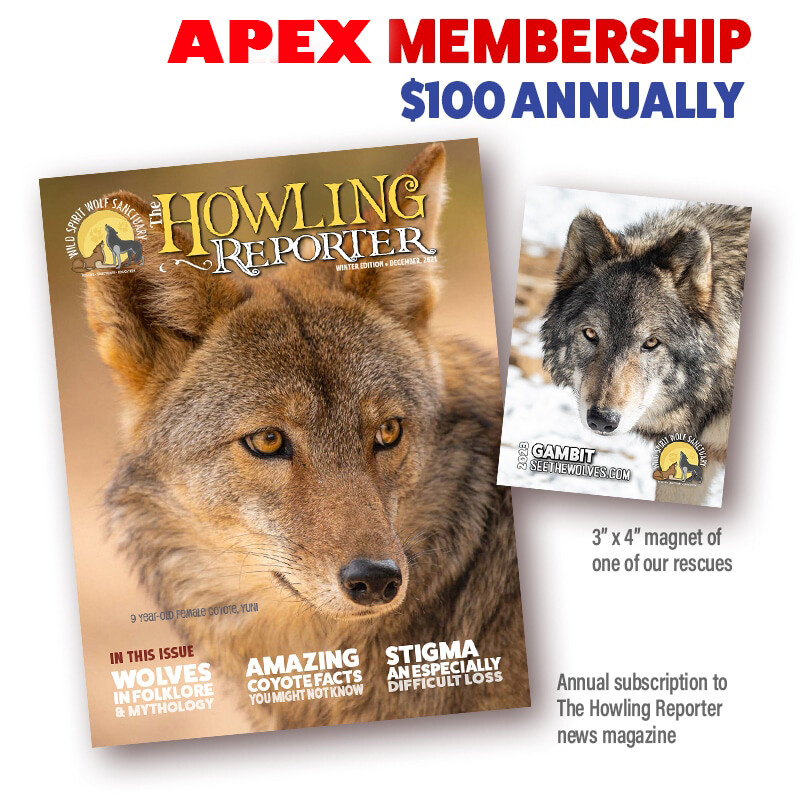 Apex Membership