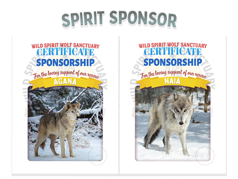 Spirit Sponsor