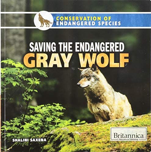 Saving the Endangered Gray Wolf (Conservation of Endangered Species)