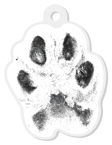 Paw Keychain
