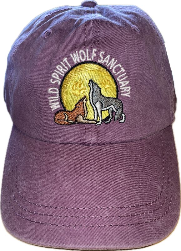 WSWS Logo Cap