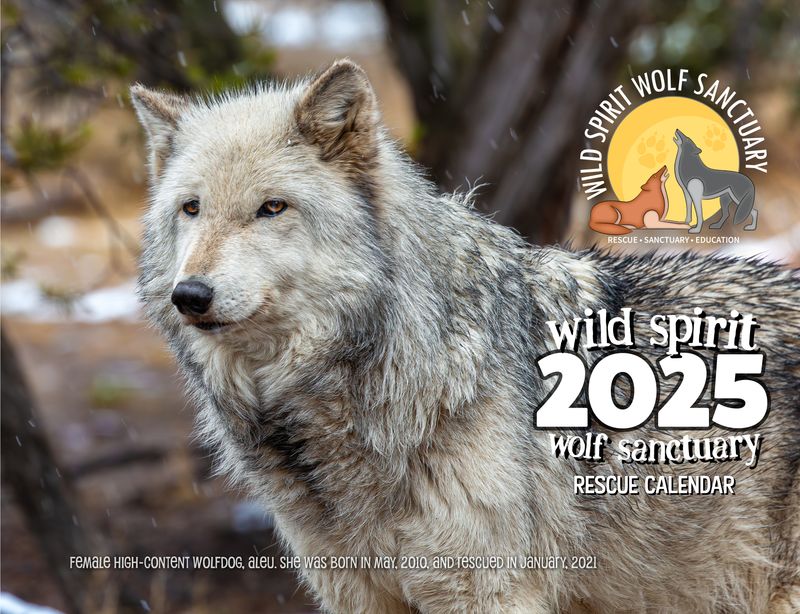 2025 Rescue Calendar