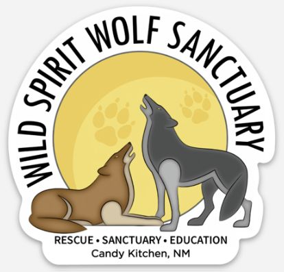 WSWS Logo Magnet