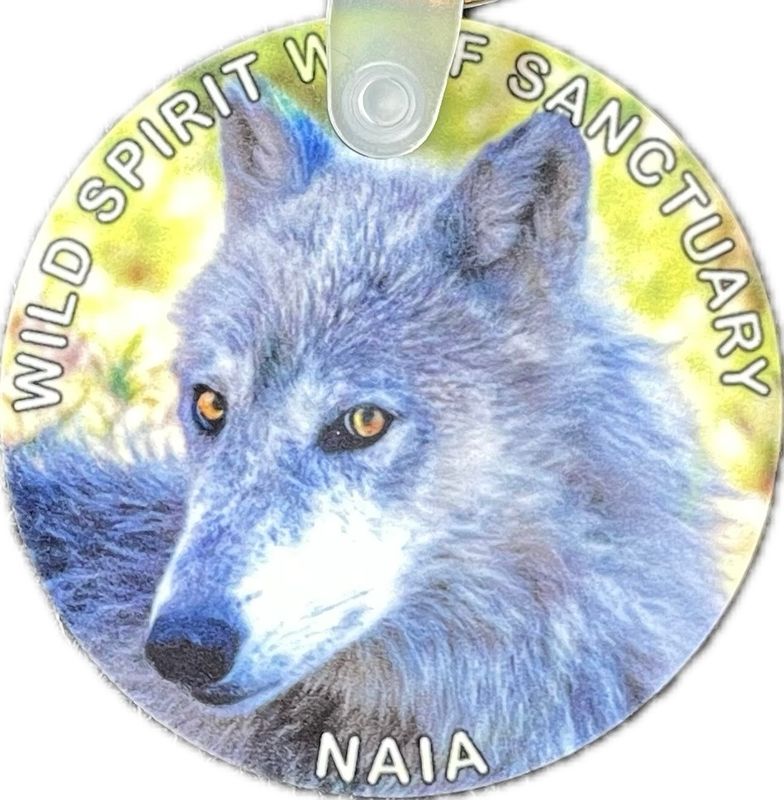 WSWS Keychain
