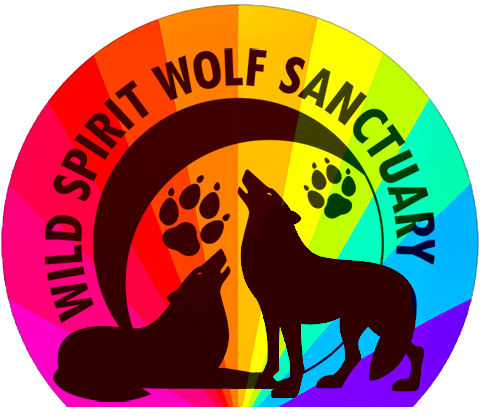 WSWS Inclusivity Sticker