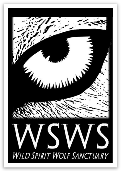 Sticker Wolf Eye