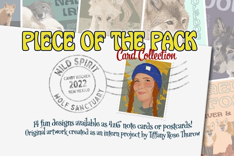 A Piece of the Pack Card Collection
