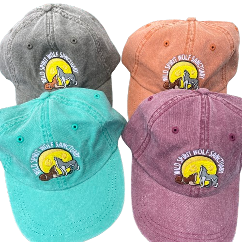 WSWS Logo Cap WSWS Logo Cap