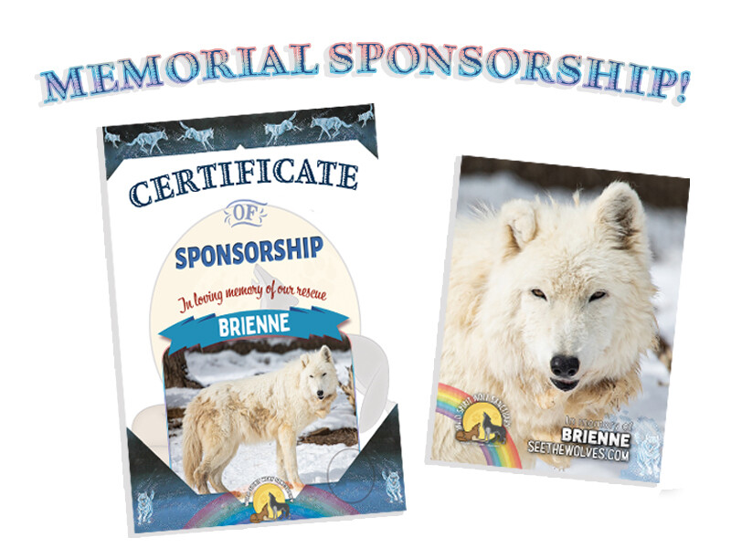 Memorial Sponsorship