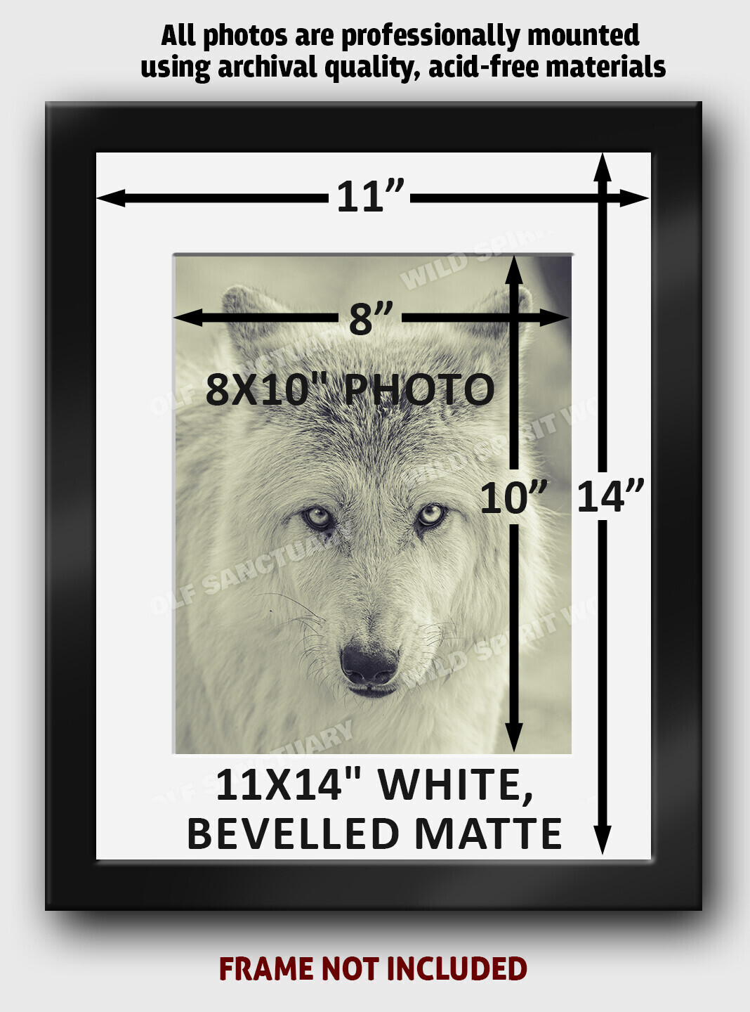 8x10" Matted Rescue Photo