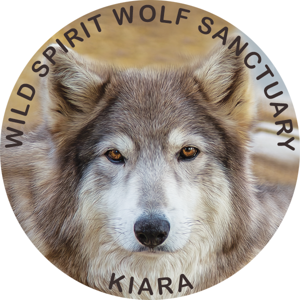 WSWS Keychain, Choose a Rescue:: Kiara