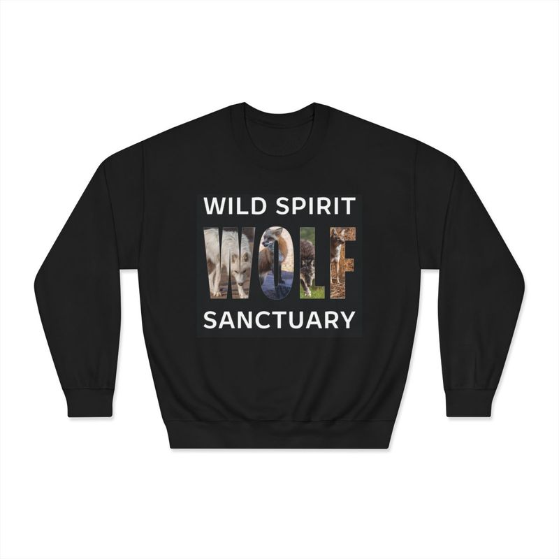 WSWS Collage Sweatshirt