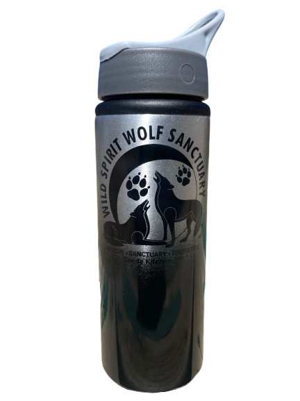 Aluminum Sport Bottle