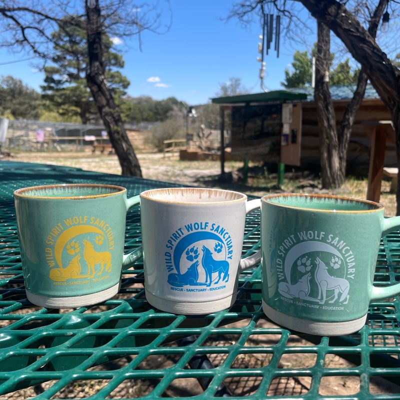 Rustic Coffee Mug with WSWS Logo Rustic Coffee Mug with WSWS Logo