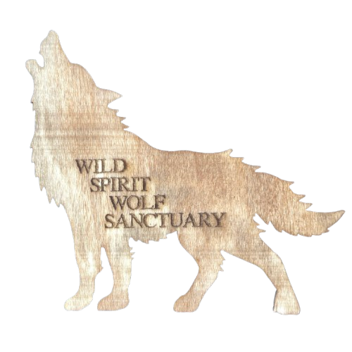 Wild Spirit Wolf Magnet, Choose a Design:: Howling Wolf