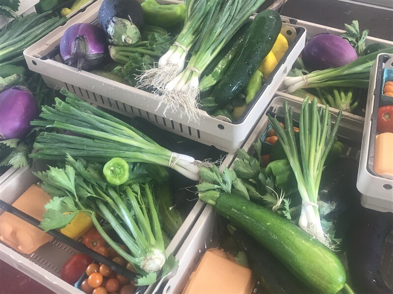 2025 Half Share Marshview Farm CSA Options