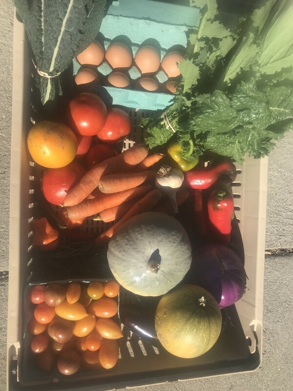 2025 Full Share Marshview Farm CSA Options
