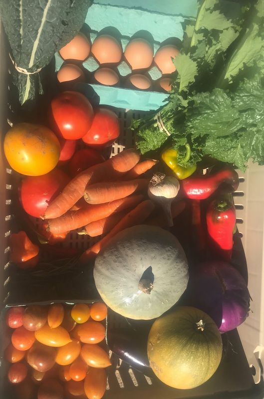Marshview Farm CSA Second Payment Options