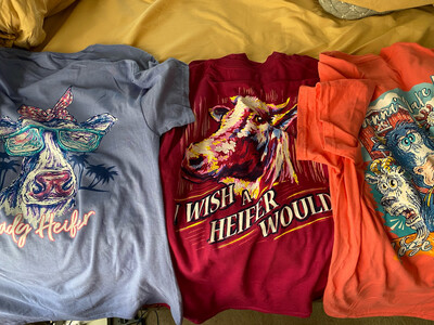 Tee-Sassy Frass Tees In Several Colors And Prints All Size Small 100% Heavy Cotton Gildan Tees