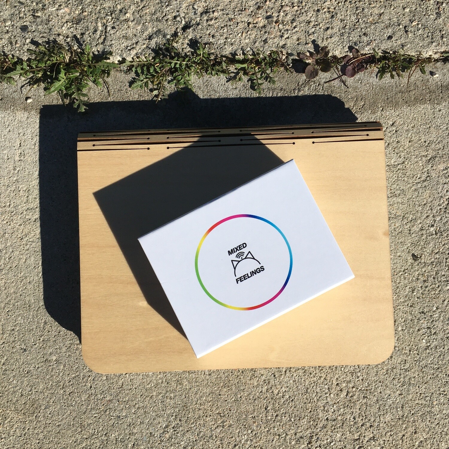 mixed feelings usb (limited run)