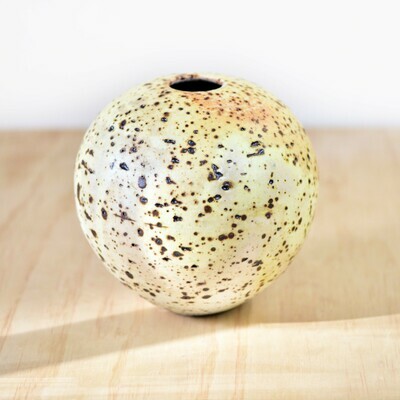Vase Vase