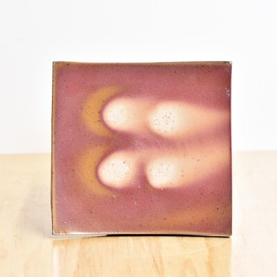 Square Plate Square Plate