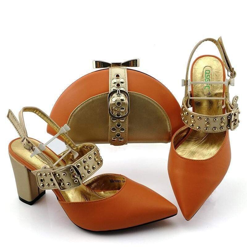 Italian Designer Buckled Shoes And Bag Set