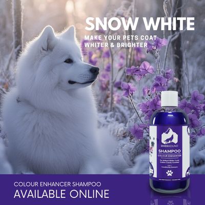 Colour Enhancement Shampoo - 250ml