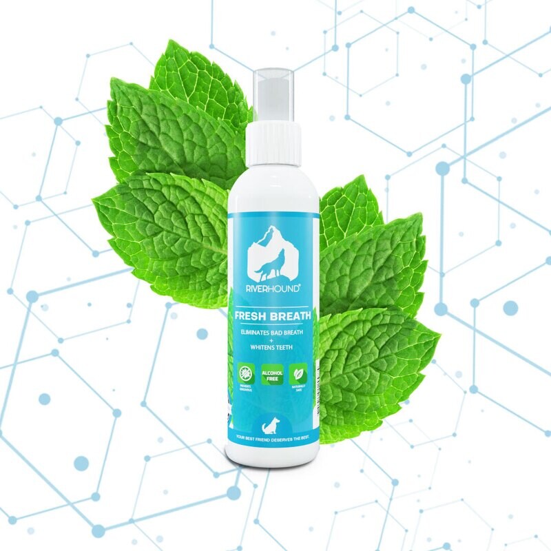 Fresh Breath - 200ml