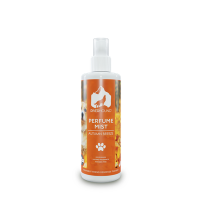 Autumn Breeze Perfume Mist - 250ml