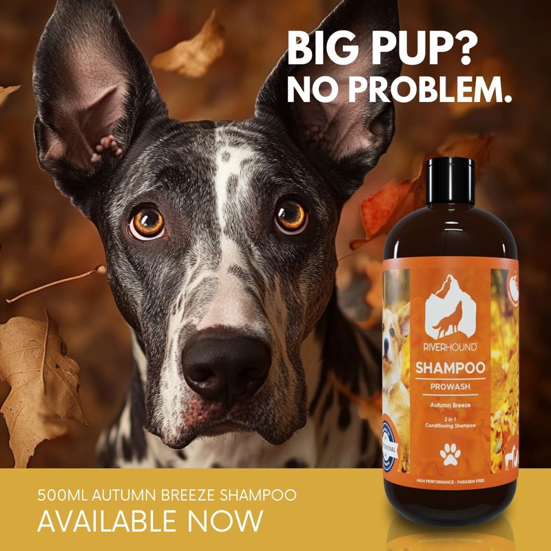 Pro Wash Autumn Breeze Shampoo - 500ml