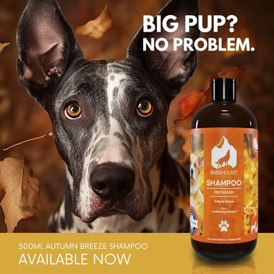 Pro Wash Autumn Breeze Shampoo - 500ml