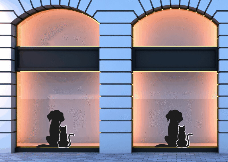 Cane e gatto