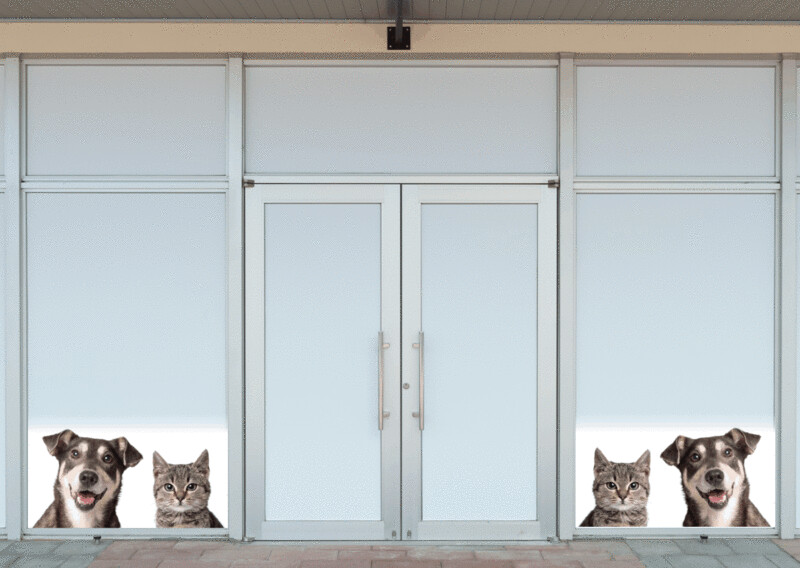 Cane e gatto