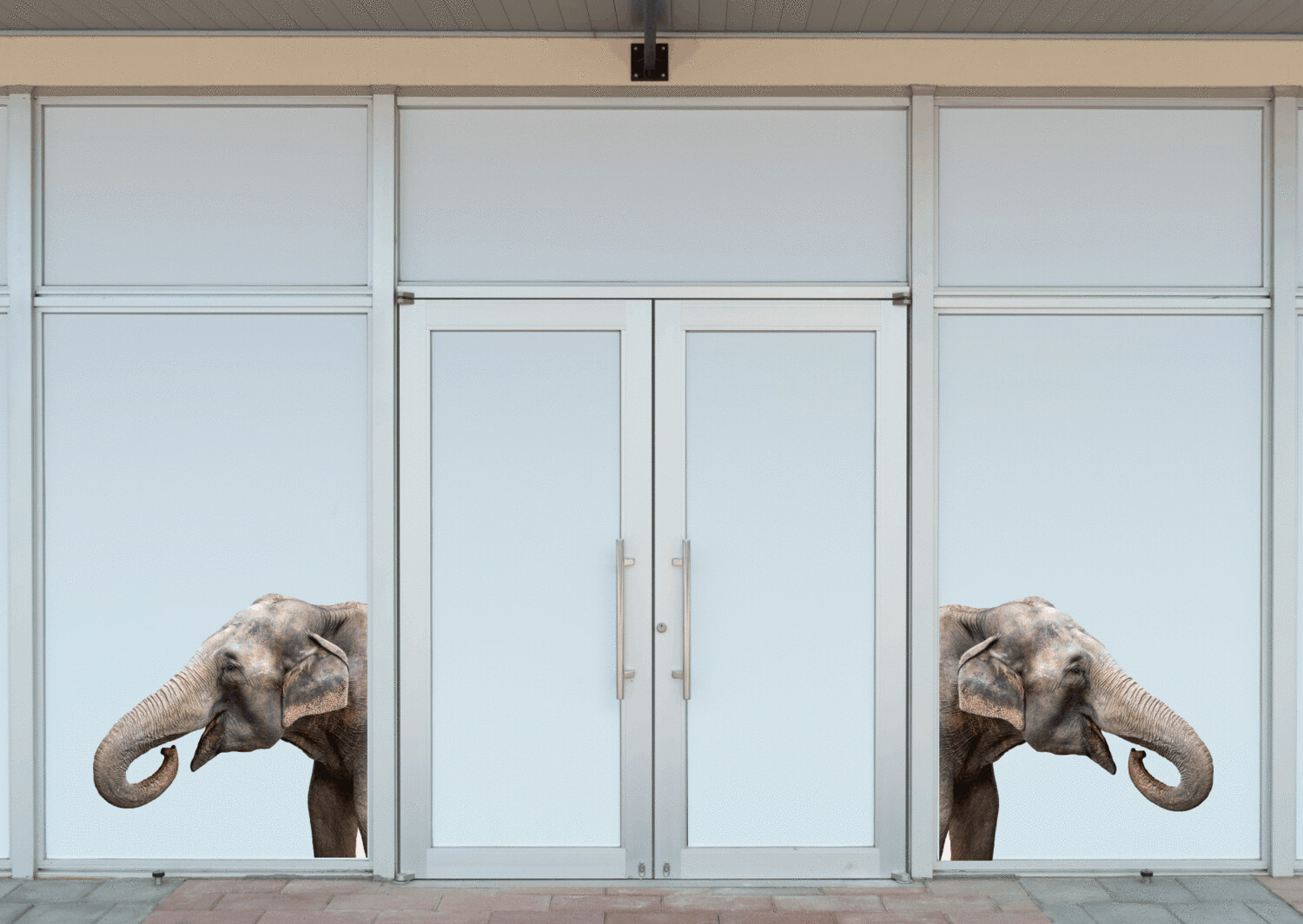 Elefante