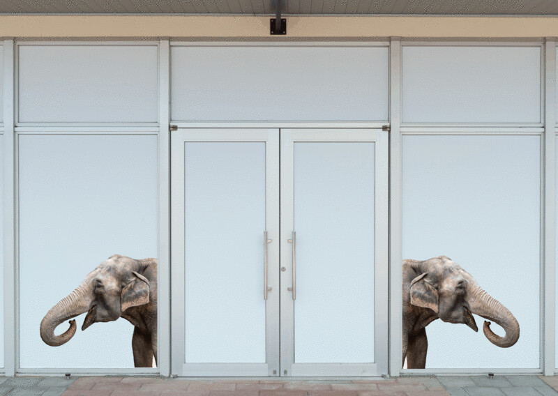 Elefante