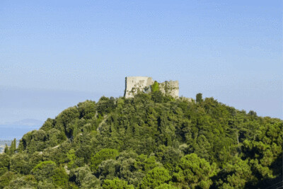 Montignoso
