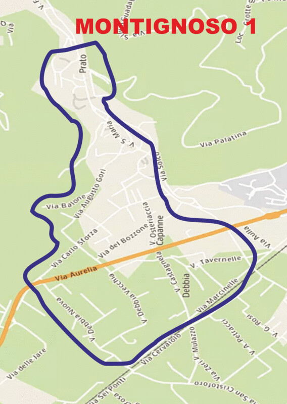 Montignoso ( escluso montagna e Cinquale)